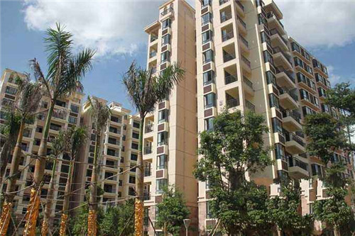 新月同行弥砂卡带 新月同行弥砂卡带