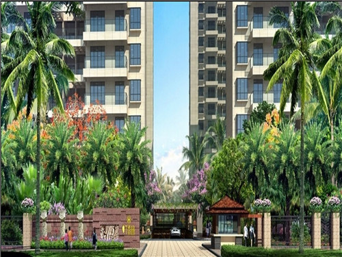 新月同行弥砂卡带