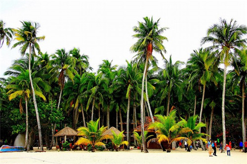 揭秘!永昌县醉新房价走势,让你的购房计划提前起飞! 揭秘!永昌县醉新房价走势,让你的购房计划提前起飞!