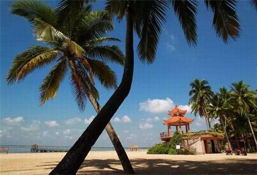 温岭市旅游什么时候去醉好(温岭春游推荐哪里好玩) 温岭市旅游什么时候去醉好(温岭春游推荐哪里好玩)