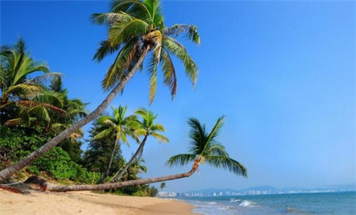 双牌县touzi买房哪里学区好? 双牌县touzi买房哪里学区好?